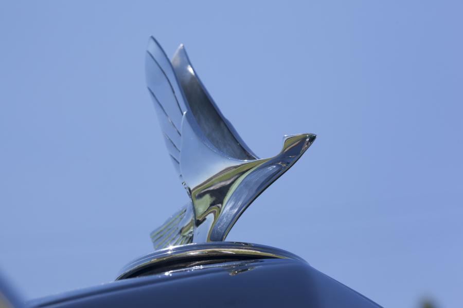  Studebaker President Eight Series 80 4-Seasons Roadster 1931 года  (фото 5 из 16)